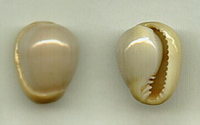 3514l
